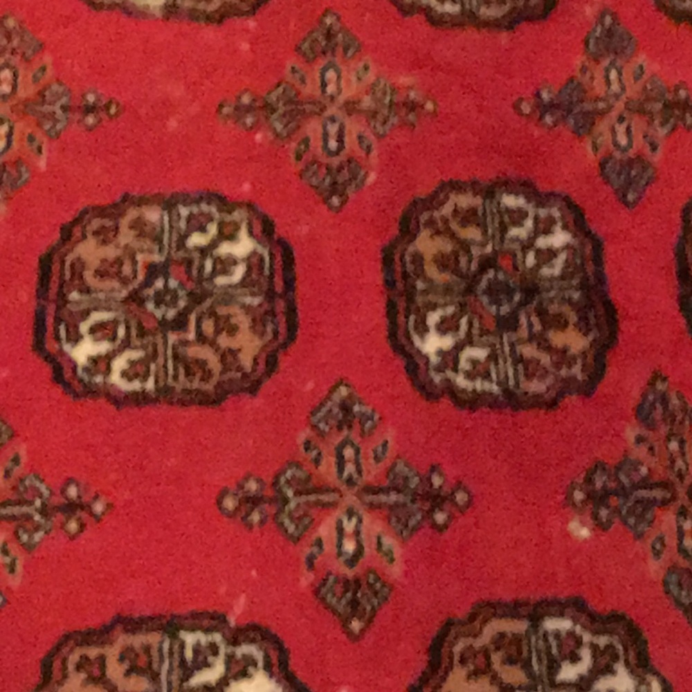 Meet your Posher, Isla